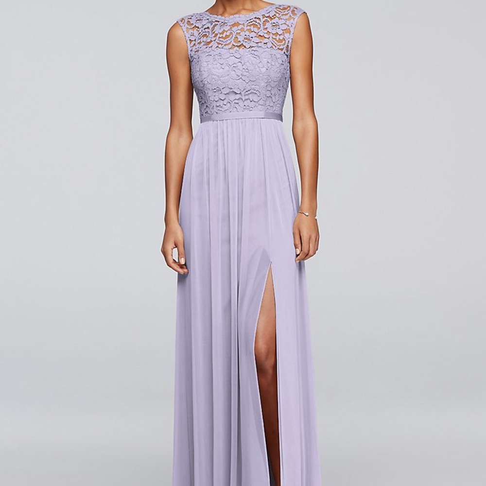 David’s Bridal Long Lace Bodice Dress